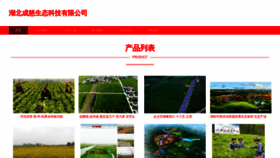 What Rjsjhw.cn website looked like in 2023 (This year)