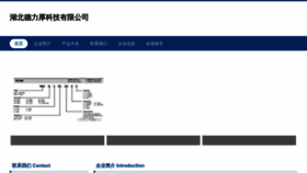 What Rjidizj.cn website looked like in 2023 (This year)