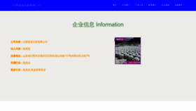 What Ryizinc.cn website looked like in 2023 (This year)