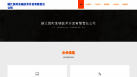 What Rscxwxi.cn website looked like in 2023 (This year)
