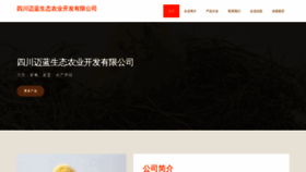 What Rxnmlcr.cn website looked like in 2023 (This year)