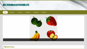 What Rsaazox.cn website looked like in 2023 (This year)