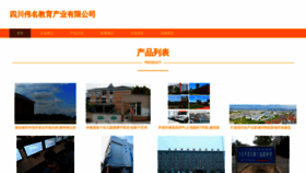 What Rroibva.cn website looked like in 2023 (This year)