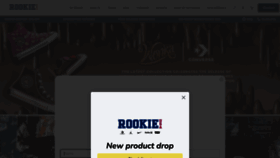 What Rookieusa.co.za website looked like in 2023 (This year)