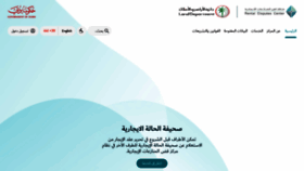 What Rdc.gov.ae website looked like in 2023 (This year)