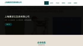 What Renhekangbao.com website looks like in 2024 