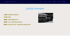 What Ruidunyun.com website looks like in 2024 