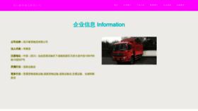 What Ruima028.com website looks like in 2024 