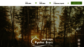 What Rusbreg.ru website looked like in 2024 (1 year ago)