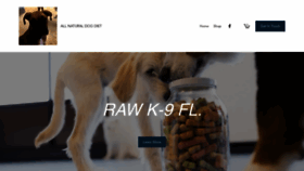 What Rawdietdogfood.com website looks like in 2024 
