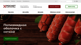 What Ros-net.ru website looked like in 2024 (1 year ago)