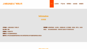 What Ruantongzhi.com website looks like in 2024 