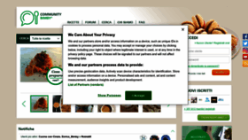 What Ricettario-bimby.it website looks like in 2024 