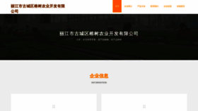What Rssqfw.cn website looks like in 2024 