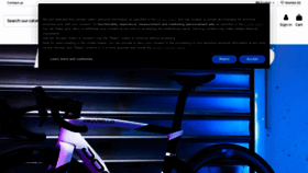 What Rdrbikes.it website looks like in 2024 