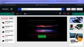 What Rhydolabz.com website looks like in 2024 