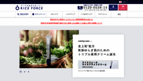 What Riceforce.com website looks like in 2024 