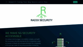 What Radix-security.com website looks like in 2024 