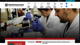 What Rerf.or.jp website looked like in 2024 (2 years ago)