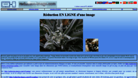 What Reduction-image.com website looks like in 2024 