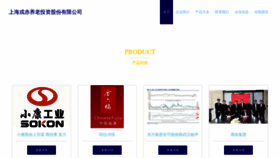 What Rong-china.com website looks like in 2024 