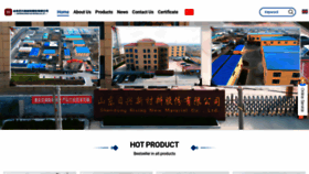 What Rixingxincai.com website looks like in 2024 