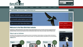 What Rarebirdalert.co.uk website looks like in 2024 