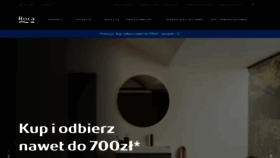 What Roca.pl website looks like in 2024 