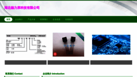 What Rjidizj.cn website looks like in 2024 