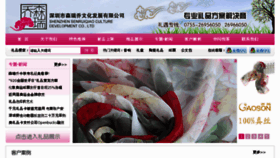 What Senruiqiao.com website looked like in 2012 (11 years ago)