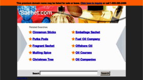 What Sachet.com website looked like in 2013 (11 years ago)