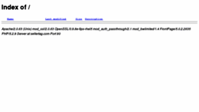 What Sellertag.com website looked like in 2013 (11 years ago)