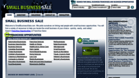 What Smallbusinesssale.com website looked like in 2013 (11 years ago)