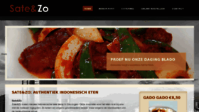 What Sateenzo.nl website looked like in 2013 (11 years ago)
