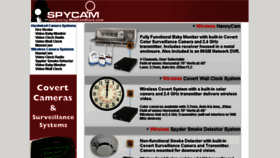 What Spycam.com website looked like in 2013 (10 years ago)