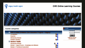 What Seniorshealthandpalliativecareeducationcalgary.com website looked like in 2013 (10 years ago)