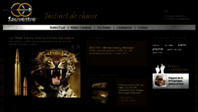 What Sauvestre.com website looked like in 2013 (10 years ago)