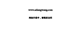 What Selangwang.com website looked like in 2013 (10 years ago)
