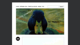 What Selfie.ro website looked like in 2013 (10 years ago)