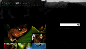 What Searchforwild.com website looked like in 2014 (10 years ago)