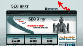 What Seoxprt.com website looked like in 2014 (10 years ago)
