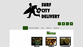 What Surfcitydelivery.org website looked like in 2015 (9 years ago)