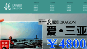 What Shenyanglong.com website looked like in 2015 (9 years ago)
