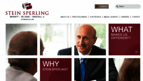 What Steinsperling.com website looked like in 2015 (9 years ago)