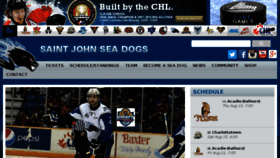 What Saintjohnseadogs.com website looked like in 2015 (8 years ago)