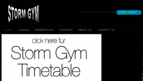 What Storm-gym.com website looked like in 2015 (8 years ago)