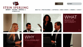 What Steinsperling.com website looked like in 2015 (8 years ago)
