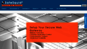 What Safesquid.net website looked like in 2016 (8 years ago)