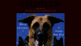 What Shepter.eu website looked like in 2016 (8 years ago)