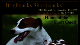 What Shortiejacks.com website looked like in 2016 (8 years ago)